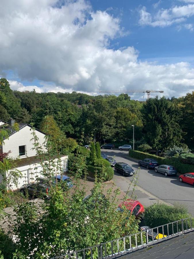 Wohnung Mit Einer Sauna Direkt Am Park Wiesbaden Exteriör bild