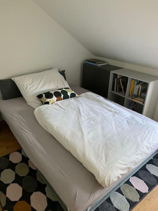 Wohnung Mit Einer Sauna Direkt Am Park Wiesbaden Exteriör bild